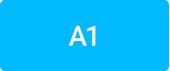 A1