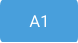 A1